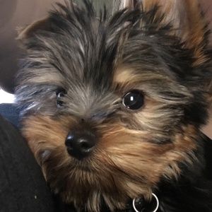 Meet your Posher, Carla